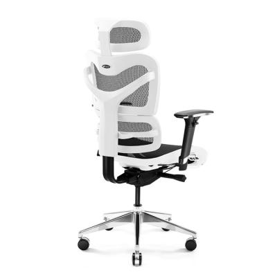 China (Size) Wholesale BIFMA Adjustable High Back Fully Mesh Swivel Ergonomic Office Chair With White Frame for sale