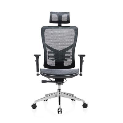 China 2021 New Design Adjustable Swivel Mesh Office Chair Ergonomic Extended Chair (Height) Boss with 2D Lumbar Support for sale