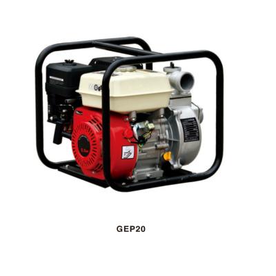 China Automotive industry GEP motor pump 60HZ for sale