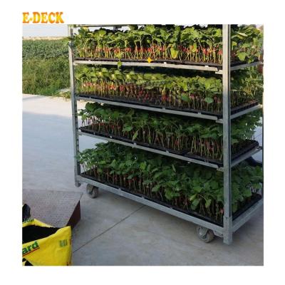 China OEM Garden Transport/Storage Nursery Flower Plant Stand Cart Steel Rolling Carts With Wheels for sale