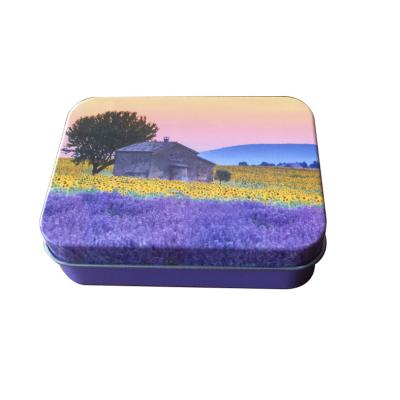 China Customized Hinged Lid Metal Tin Biscuit Boxes For Gift for sale