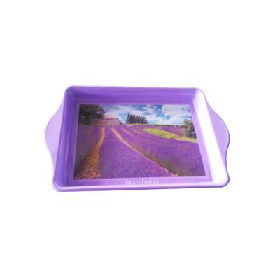 China Elelgent Promotion Metal Tin Serving Tray for sale