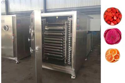 China Industrial Freeze Dryer Machine For Drying Fruits Vegetables zu verkaufen