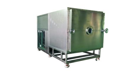 China 100L 200L Freeze Dryer Pharmaceutical Industry Liofilizador Freeze Dryer for sale