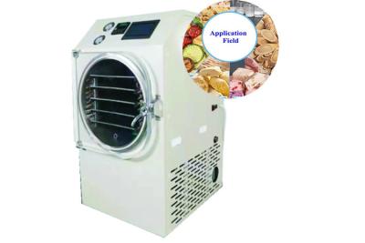 China 6Kg 8Kg 15Kg Home Food Freeze Dryer Machine for sale