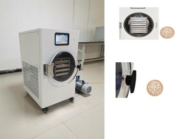 China Revolutionize Freeze Drying Process With Home Freeze Dryer  220V 1PH for sale