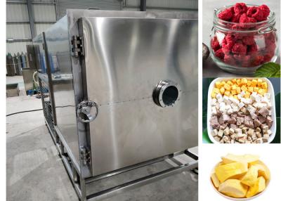 China Industrial Vacuum Food Freeze Dryer Machine 100Kg 200Kg for sale