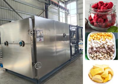 China Large Food Milk Vacuum  Freeze Dry Fruit Machine With 100kg / Batch for sale