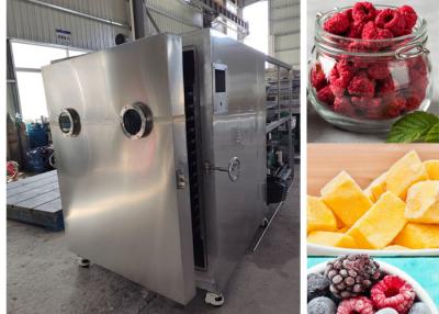 China Fully Automatic Lyophilizer Vacuum Freeze Drying Machine Equipment for sale