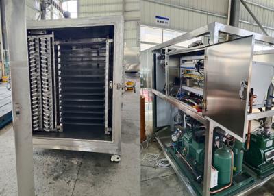 Chine Industrial Vacuum Freeze Dryer Machine With Air Cooled Cooling à vendre