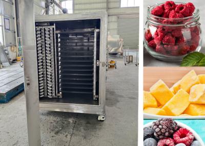 Chine Compact Designed Industrial Vacuum Freeze Drying Machine à vendre