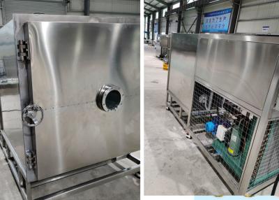 China 100kg Batch Diy Stayfresh Freeze Dryer With -45℃ Condensation for sale