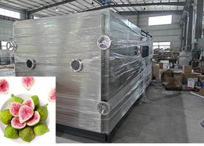 China Automatic PLC Control Candy Vegetable Food Freeze Drying System for sale