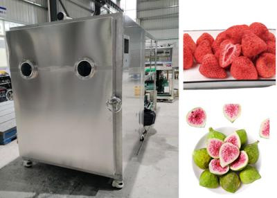 China Electric Heating Vegetable Lyophilizer Food Freeze Dryer Machine for sale