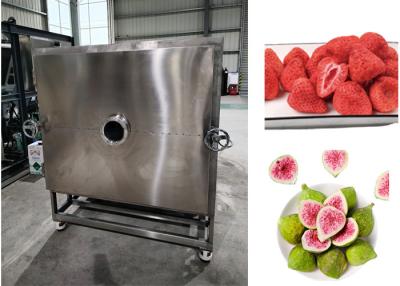 China Air Cooled Vegetable Freeze Drying System Lyophilizer Machine for sale