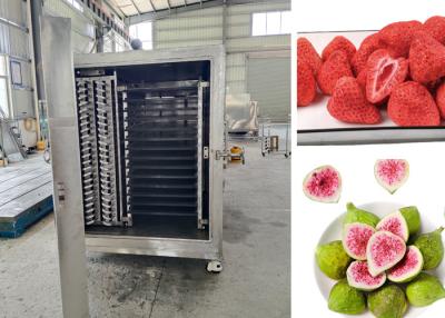 China Remote PLC Control  Food Vacuum Freeze Dryer For Drying Process for sale