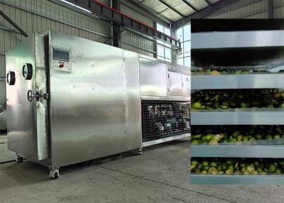 China Industrial Air Cooled Freeze Dryer -50~80.C Freezer Drying Machine for sale