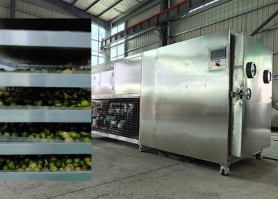 China Powerful Bitzer / Leybold Refrigeration System Freeze Dryer For Fruits for sale