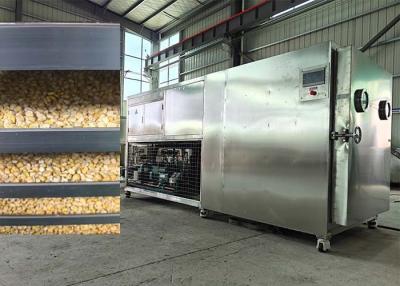 China Food Freeze Dryer Fruit Machine Lyophilizer Drying Equipment for sale