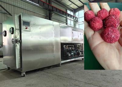 China PLC Controlled Vacuum Freeze Drying Machine 30-35kg/batch for sale