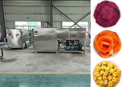 China PLC Controlled Intelligent Fruit Freeze Dryer Fruit Machine for sale