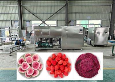 China Efficiency Professional Freeze Dehydrator With Cold Trap -40℃ for sale