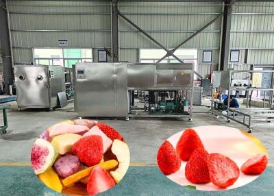 China 100kg Per Batch Industrial Freeze Drying Machine With 60dB for sale