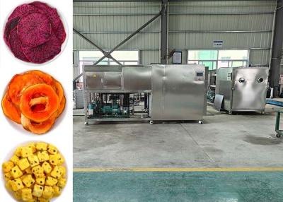 China Professional Food Vacuum Freeze Dryer for Optimal Drying Results for sale