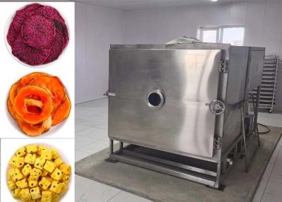 China Industrial Grade Food Vacuum Freeze Dryer for Fast and Precise Drying for sale