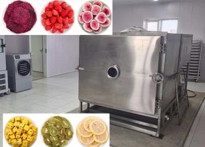 China Vegetable Freeze Dryer The Perfect Choice For Drying Vegetables In Bulk for sale