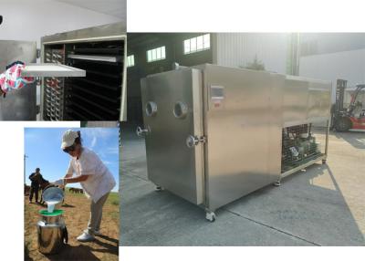 China 100Kg Capacit Vegetable Freeze Dryer For Various Vegetable Types for sale