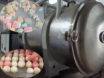 China Industrial Freeze Dryer Drying For Industrial Manufacturing Freeze Dry Candy for sale