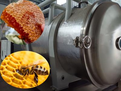 China Industrial Freeze Dryer and Custom Drying Equipment Freeze-dry Honey for sale