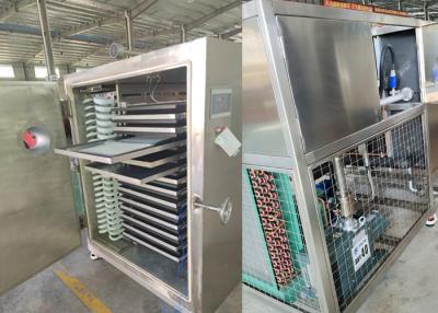 China Food Preservation Food Vacuum Freeze Dryer Machine 300Kg for sale