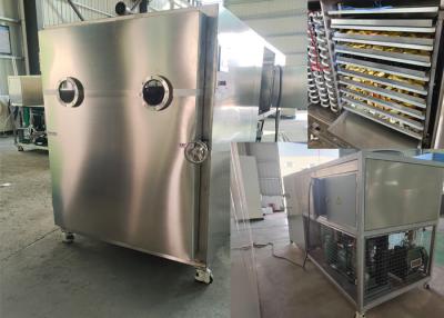 China Industrial Large Food Vacuum Freeze Dryer for Precise Freeze-drying for sale