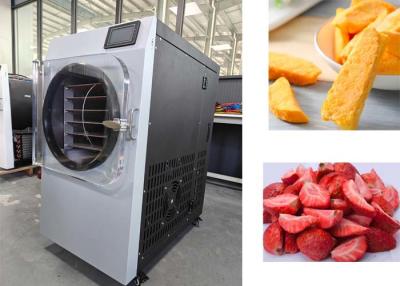 China Powerful 2000W Small Freeze Dryer Machine Perfect For Freeze Drying for sale