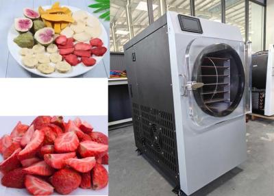 China LCD Display Household Freeze Dryer For Home Food Preservation And Storage for sale