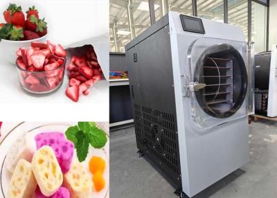 China 220V 20-25kg Capacity Freeze Dry Machine For Home for sale