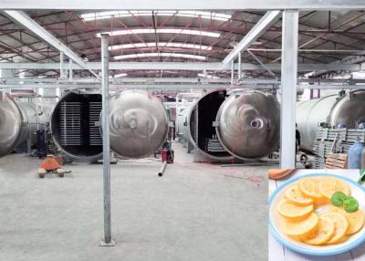 China 1000Kg Capacity Industrial Automatic Freeze Dryer For Food Application for sale