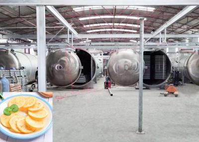 China Large Industrial Freeze Dryer 1000kg/batch Capacity for sale