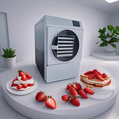 China Food Fruit Vegetable Mini Freeze Dryer For Home Use for sale