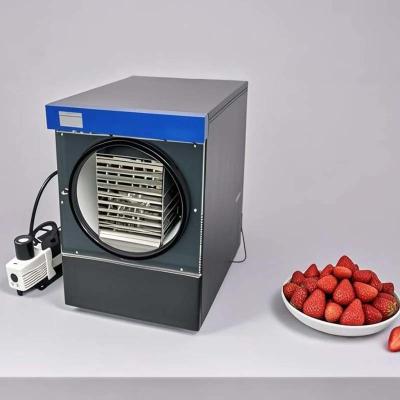 China Máquina de secado por congelación para uso doméstico de frutas, verduras, carne y leche liofilizadas en venta