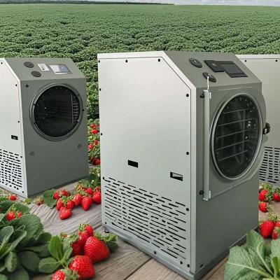 China Máquina de secado por congelación multiuso de 20 kg - Procesar hierbas, café, dulces y productos lácteos con facilidad en venta