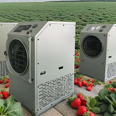 China Máquina liofilizadora de secador por congelación - 6KG 10KG 20KG Conservación de alimentos en el hogar en venta