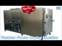 Stainless Steel Vacuum Freeze Drying Machine 100L 200L Pharmaceutical