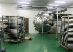 100Kg 200Kg Industrial Food Vacuum Freeze Drying Machine