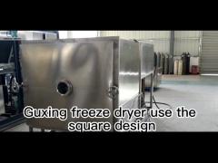 Professional Food Vacuum Freeze Dryer for Optimal Drying Results