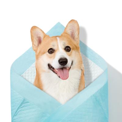 China Viable Super Absorbent Puppy Pee Potty Pad 60*60 Disposable Pet Urine Pad for sale