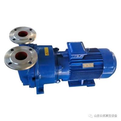 China High Efficiency Good Quality New Arrivals Mini Vacuum Pump High Stability Water Ring Vacuum Pump for sale