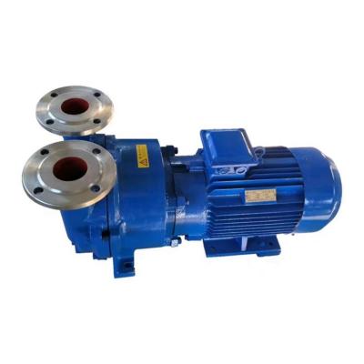 China High Efficiency High Performance Single Stage Portable Anticorrosive Mini Vacuum Pump for sale